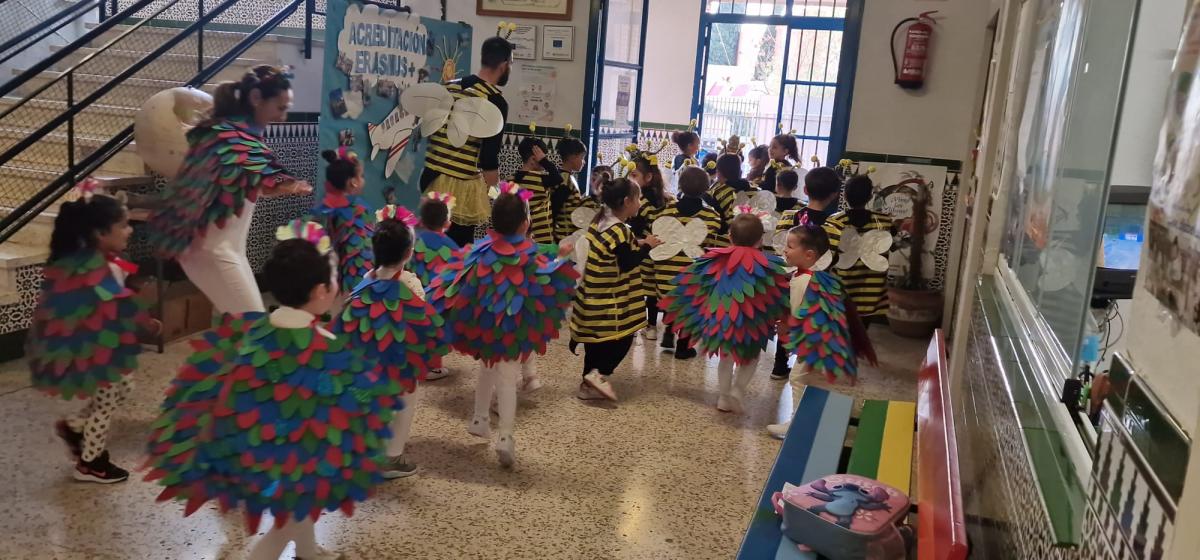 IMG 0590photo (1) (1)