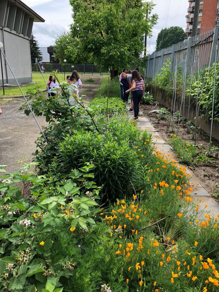 IMG 2433photo (1) (1)