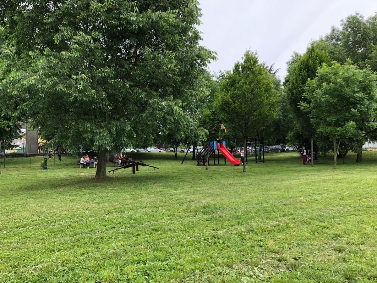 IMG 2437photo (1) (1)