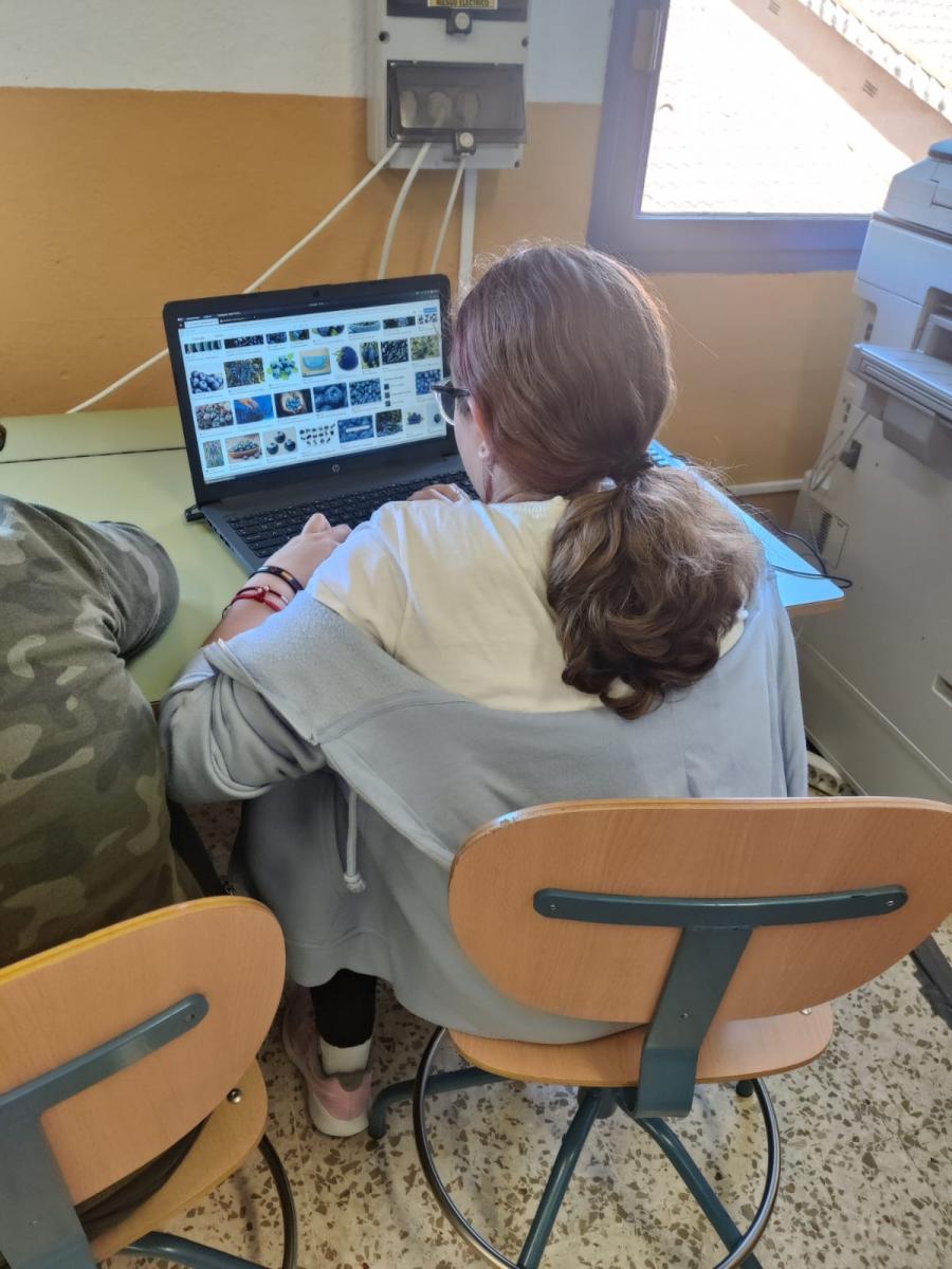 6817d441-614f-4f14-a3a7-6b8d10fd6790 (1)