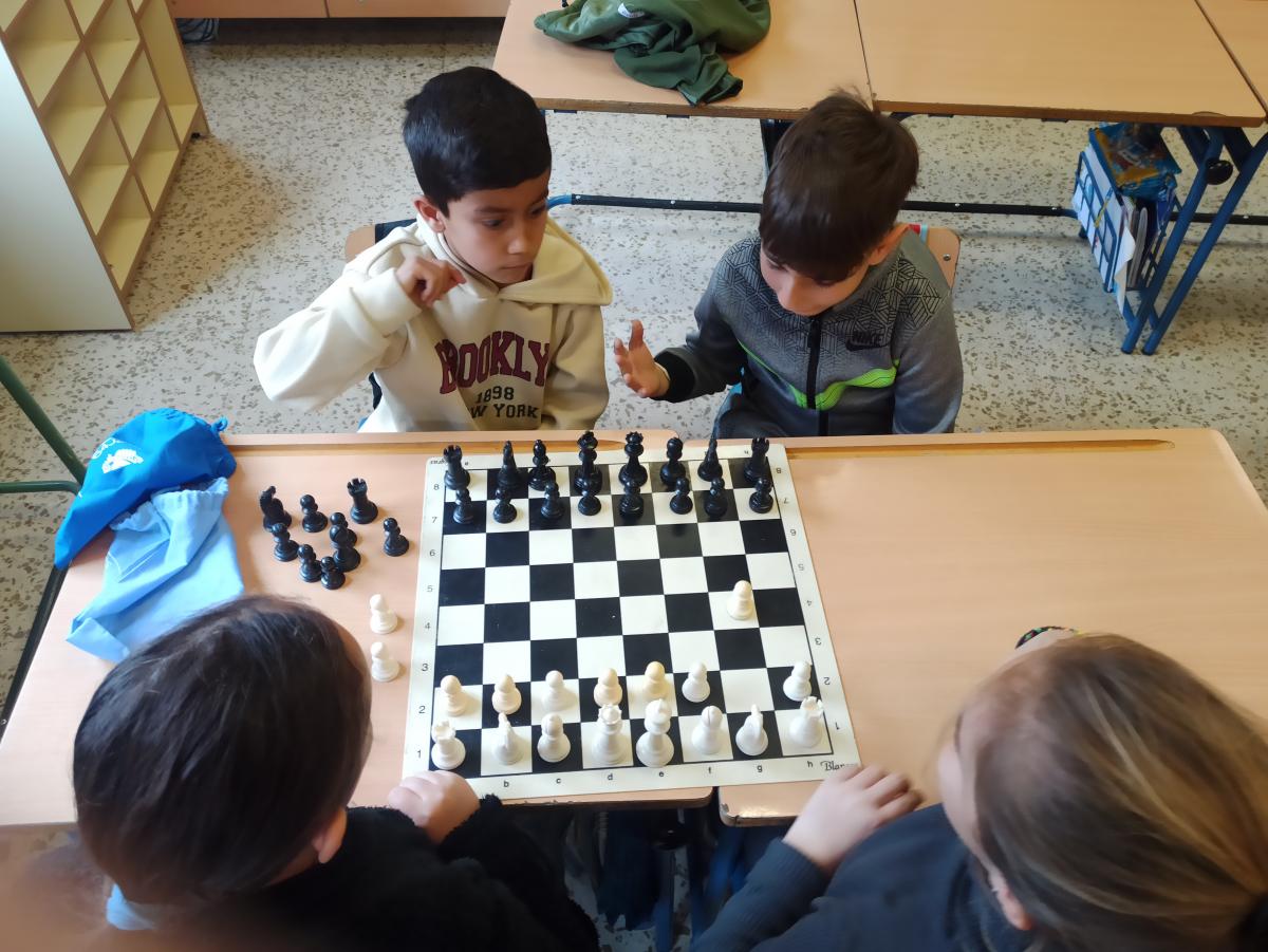 IMG 20250129 113523