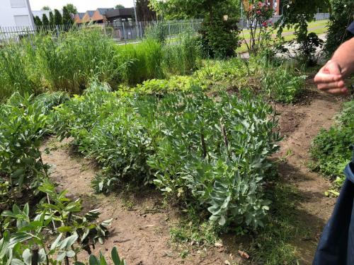 IMG 2425photo (1) (1)