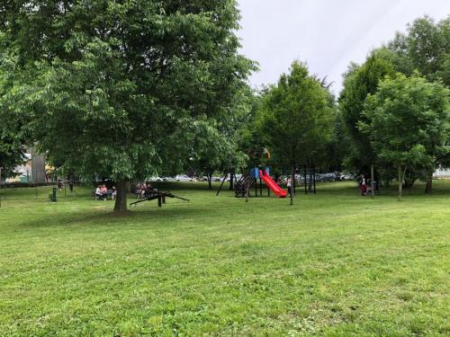 IMG 2437photo (1) (1)