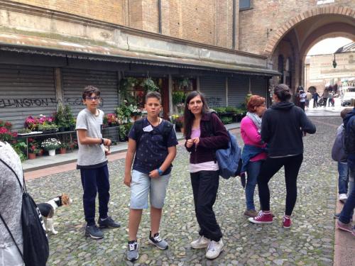 IMG 2452photo (1) (1)